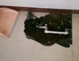 松滋卫生间测漏水多少钱